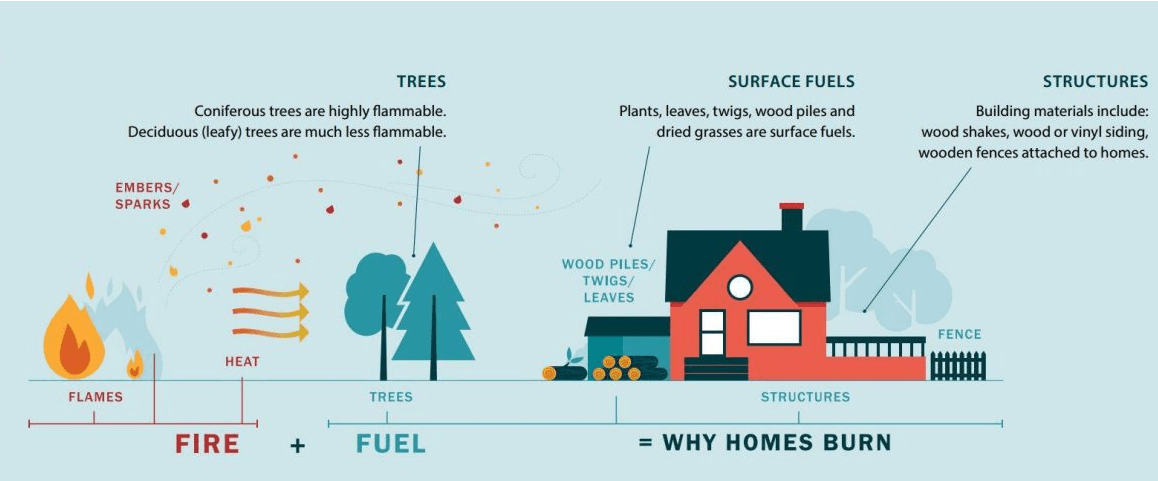 Website Graphic - Why Homes Burn - house with yard vegetation