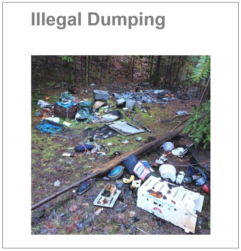 Illegal dumping button