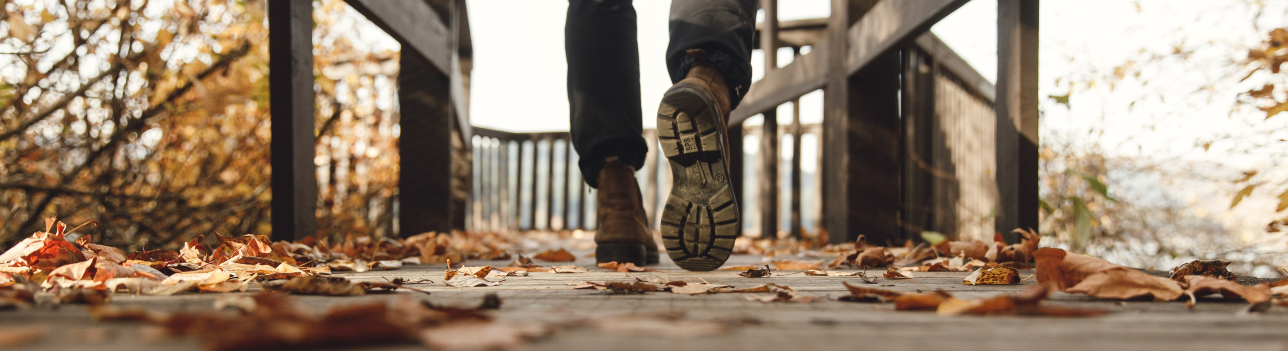 Static image of fall in CVRD Parks & Trails 