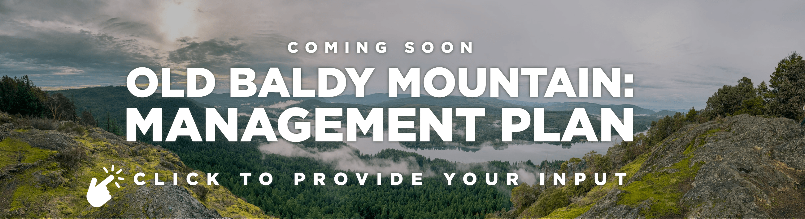 Old Baldy Mountain Web Banner - Click to provide your input  Opens in new window