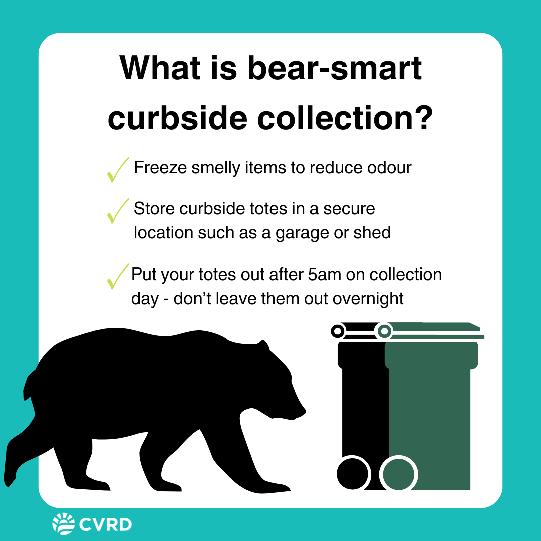 May 2025 Bear Smart Curbside