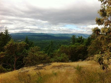 View from the top of Cobble Hill Mountain