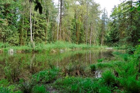Creighton Park