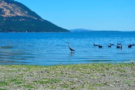 Manley Creek Park Beach