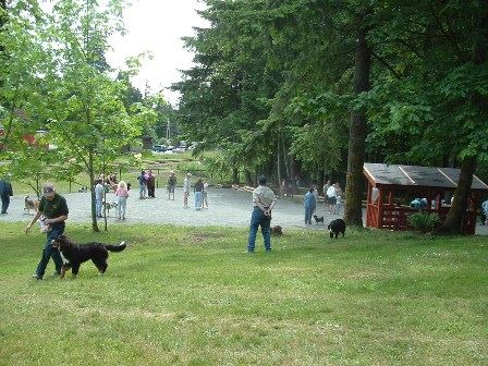 South Cowichan Dog Park