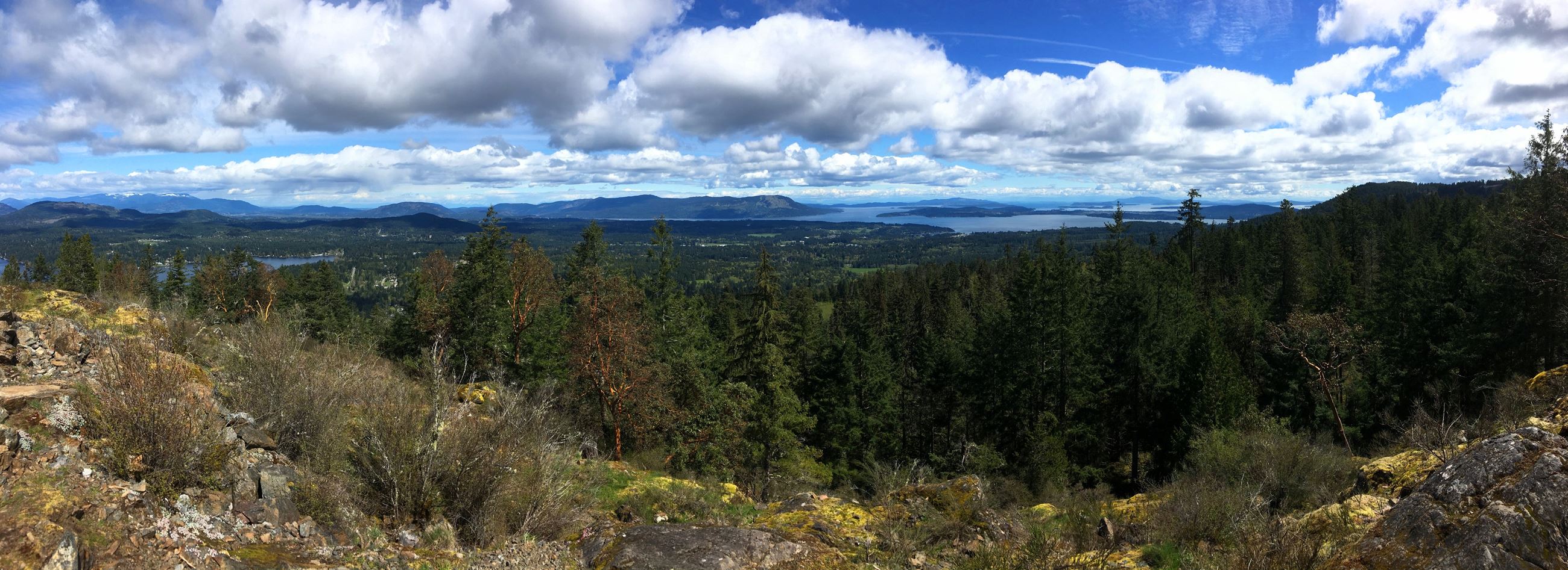 South Cowichan Panorama