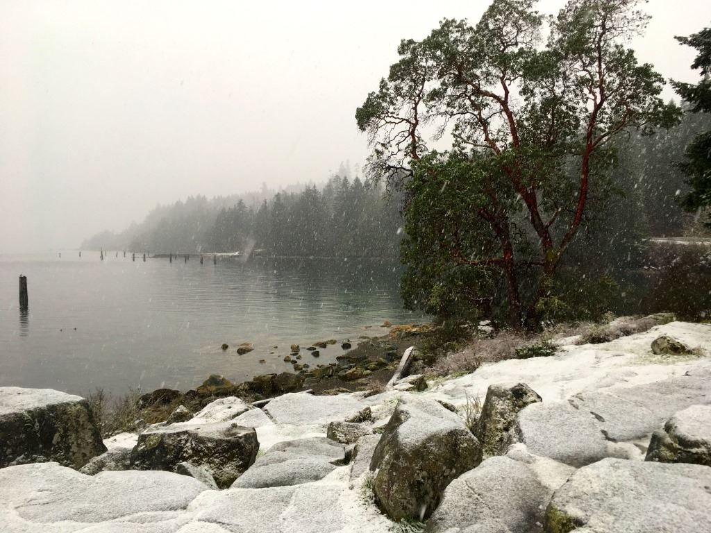 Saanich Inlet