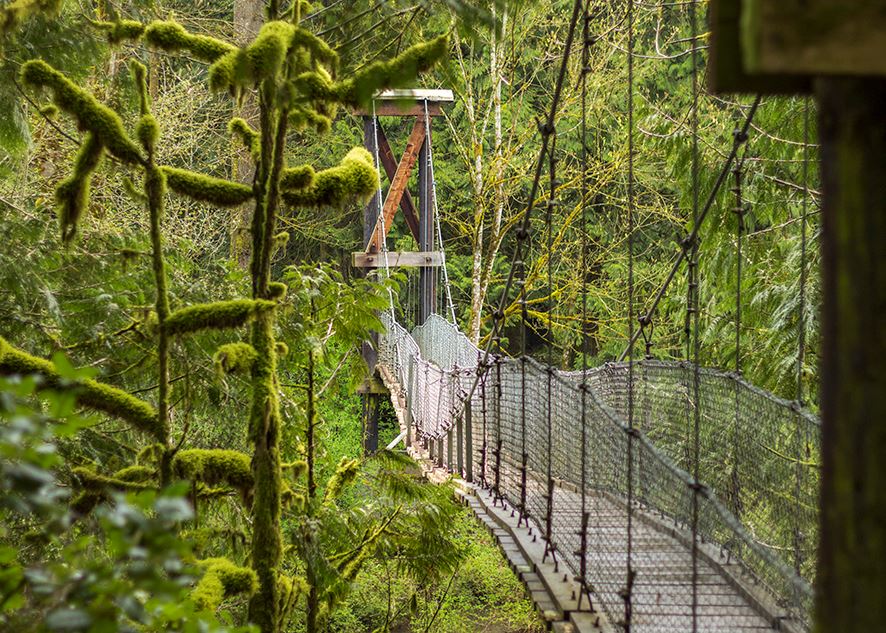 Suspension Bridge