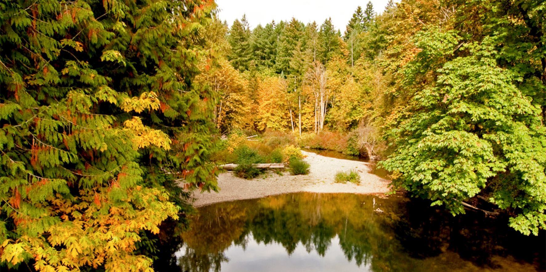 Koksilah River from suspension bridge