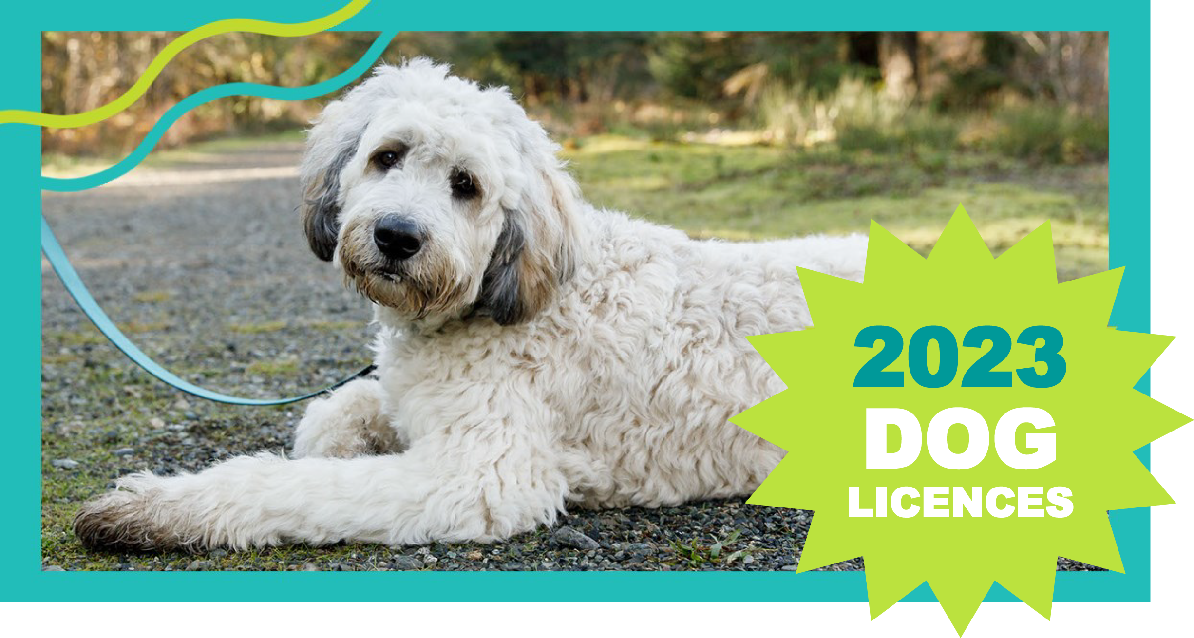 2023 Dog Licence - CVRD Bylaw-Website