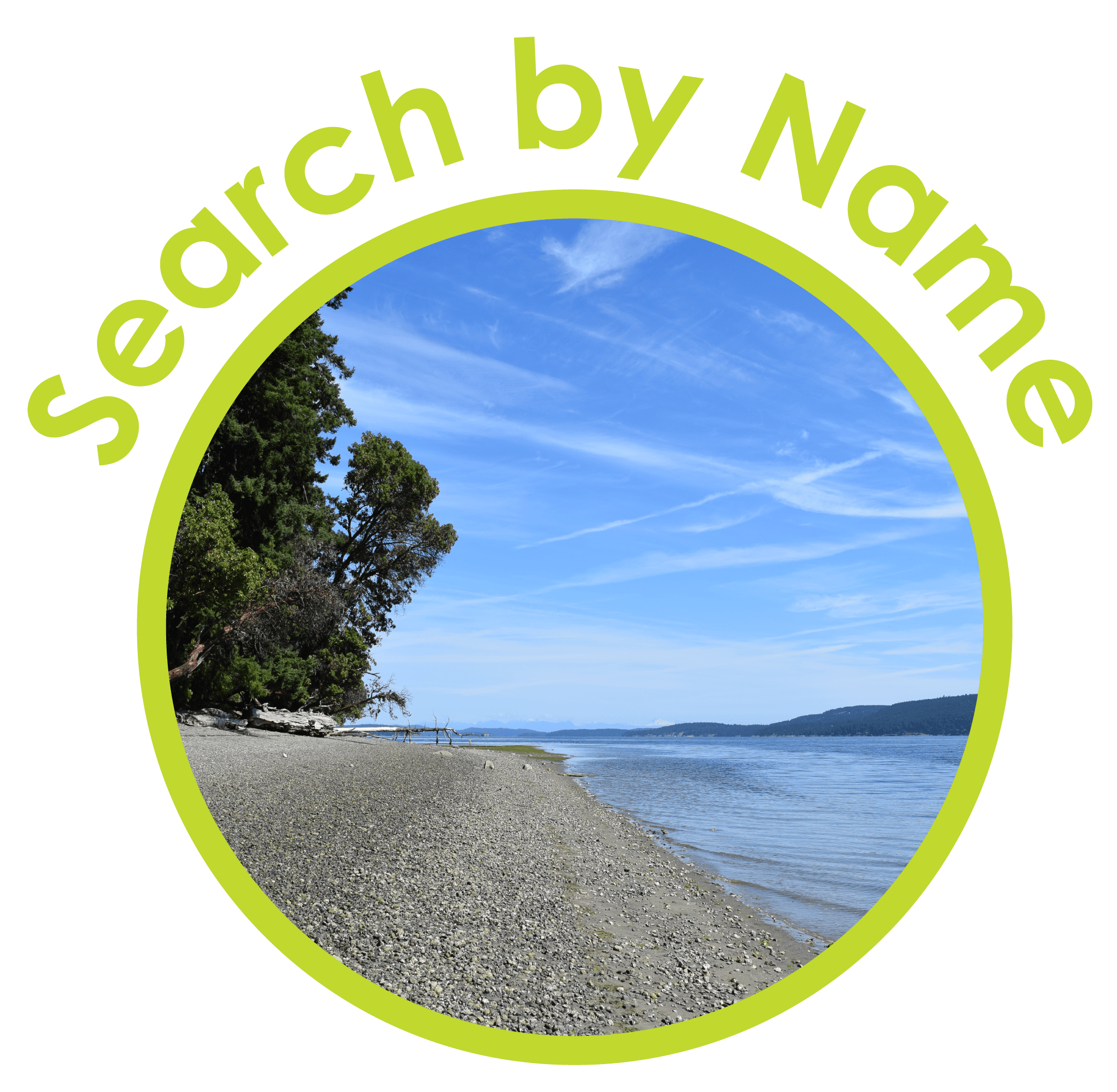 Website Buttons - Search by Name