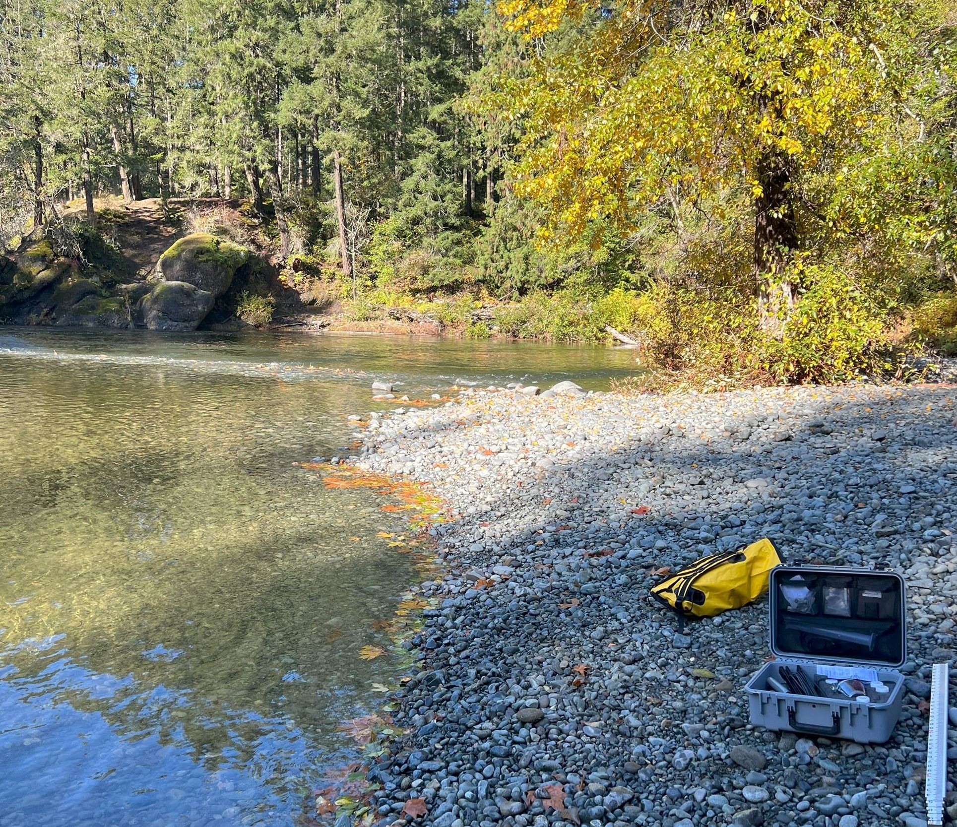 2023-10-25 Chemainus River at Park (2)